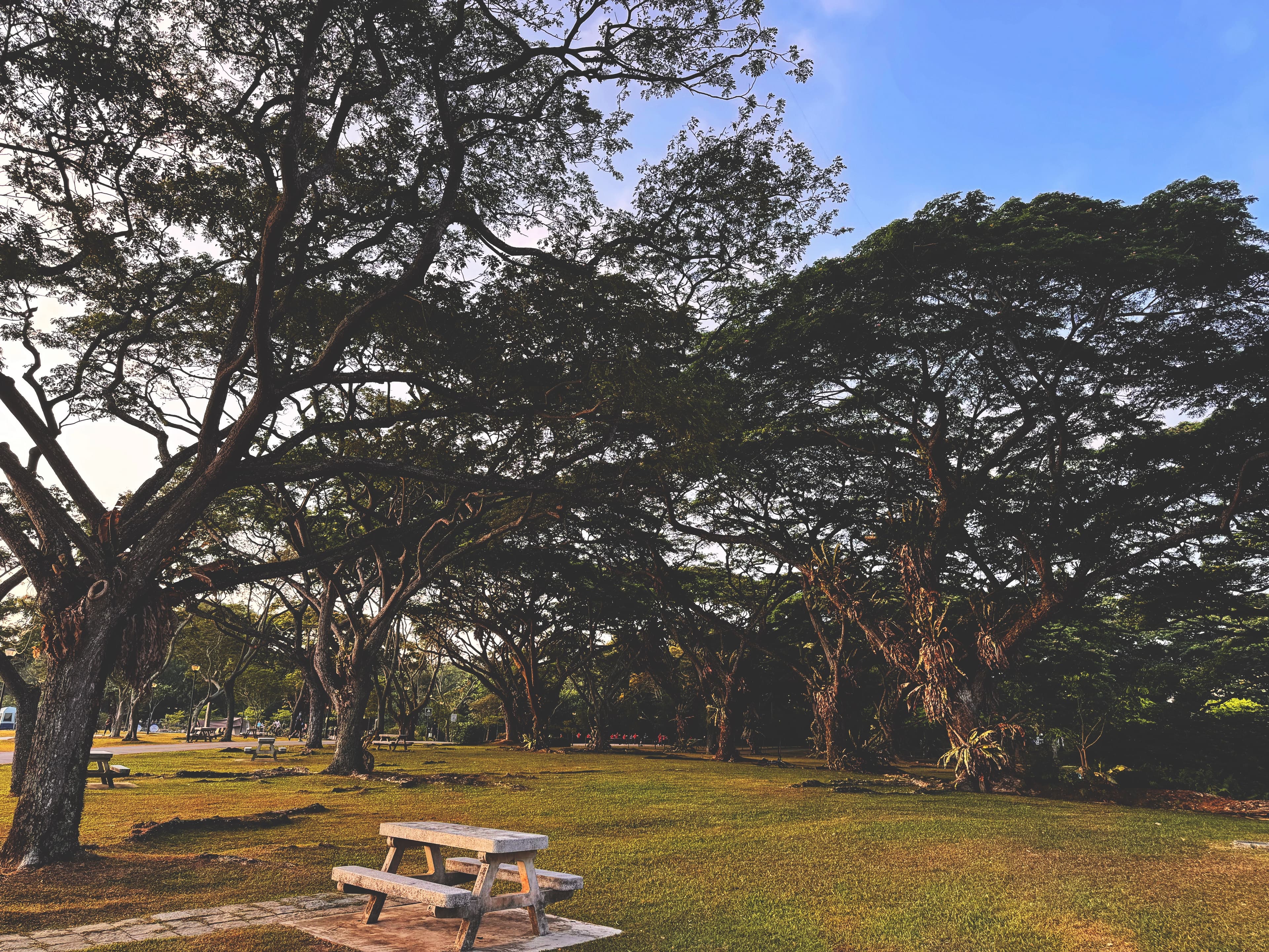 拍摄于 Pasir Ris Park, Singapore