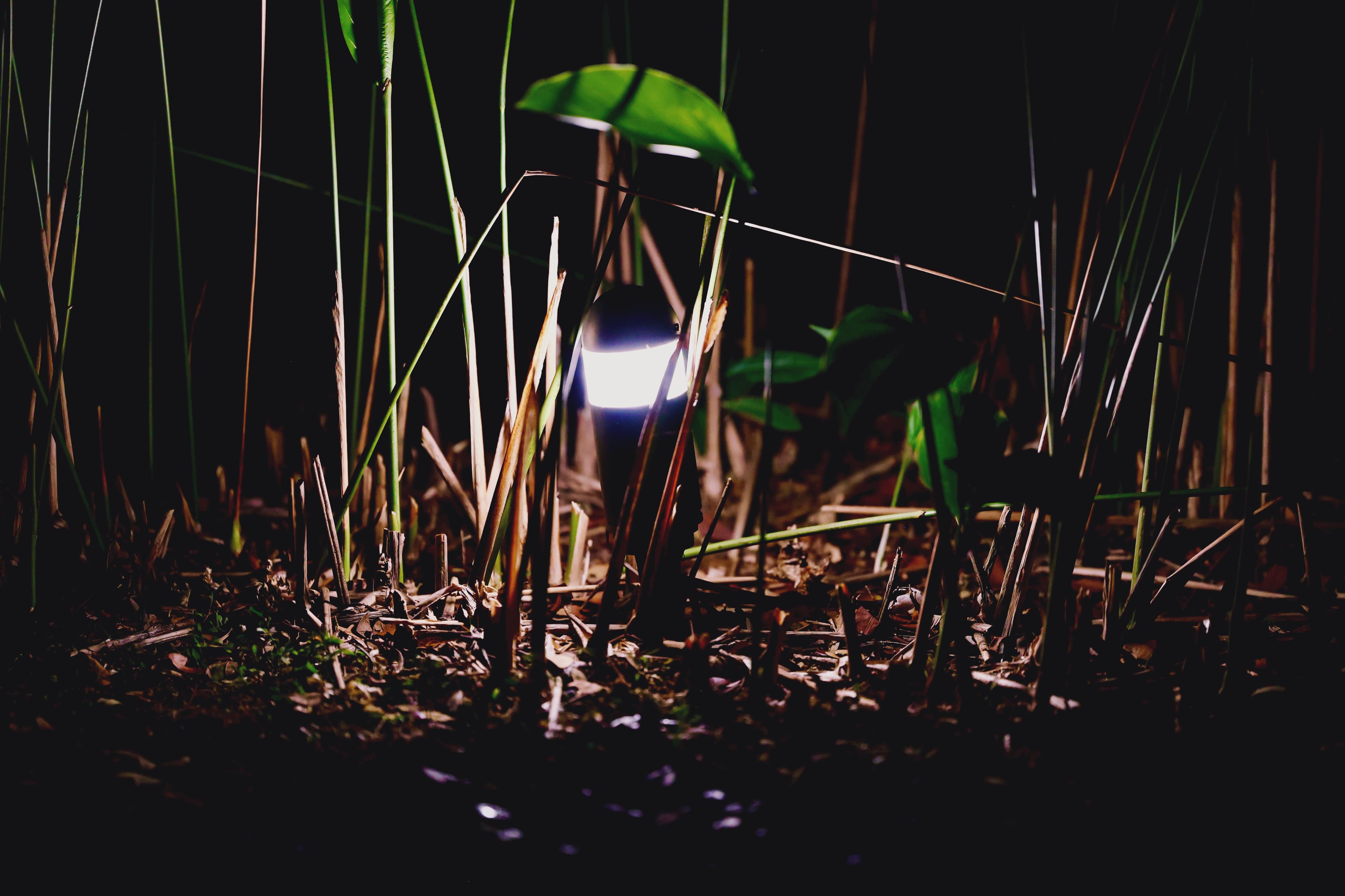 拍摄于 Bedok Reservoir, Singapore